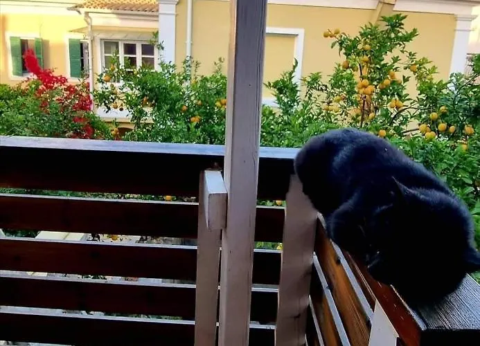 Phoenix Square Сasa de vacaciones *